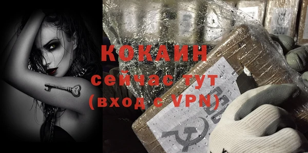 крисы Арсеньев