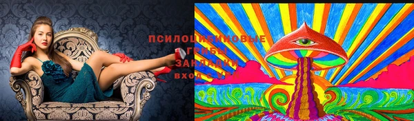 твердый Армянск