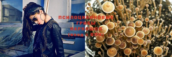 крисы Арсеньев