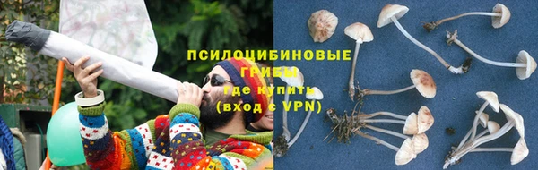 соль курить ск Аркадак